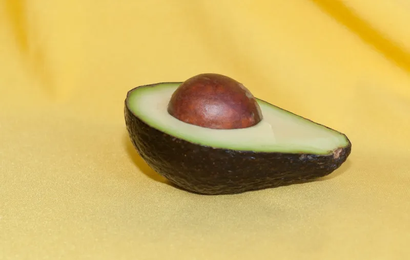 Avocados are toxic to dogs